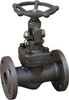 JIS 20K Marine Forged Stahl Globe Ventil